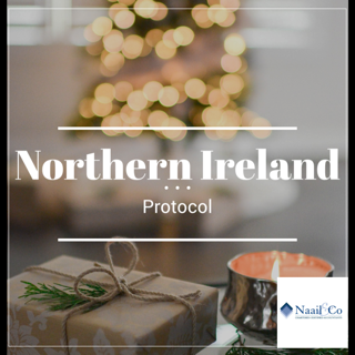 Northern Ireland protocol
