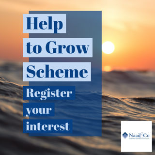 Help to grow scheme