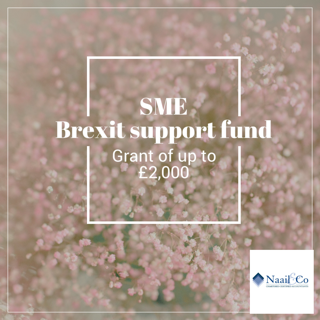 SME Brexit support fund