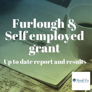 Furlough & self employed grant report