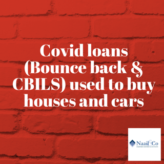 Covid loans used to buy houses and cars